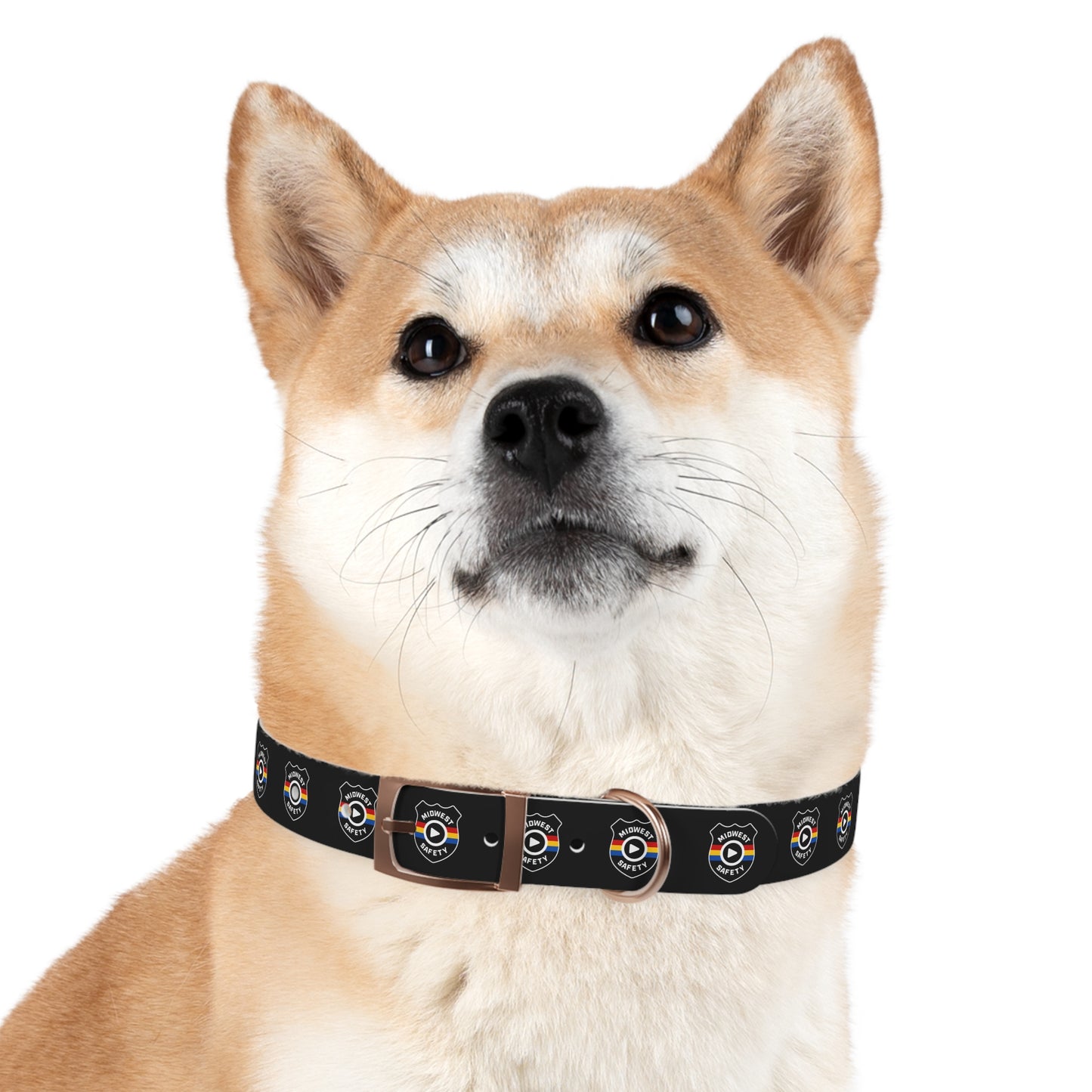 Custom Dog Collar, Unique Pet Accessory, Adjustable Collar for Dogs, Stylish Dog Gear, Perfect Dog Gift, Pet Birthday, Pet Adoption