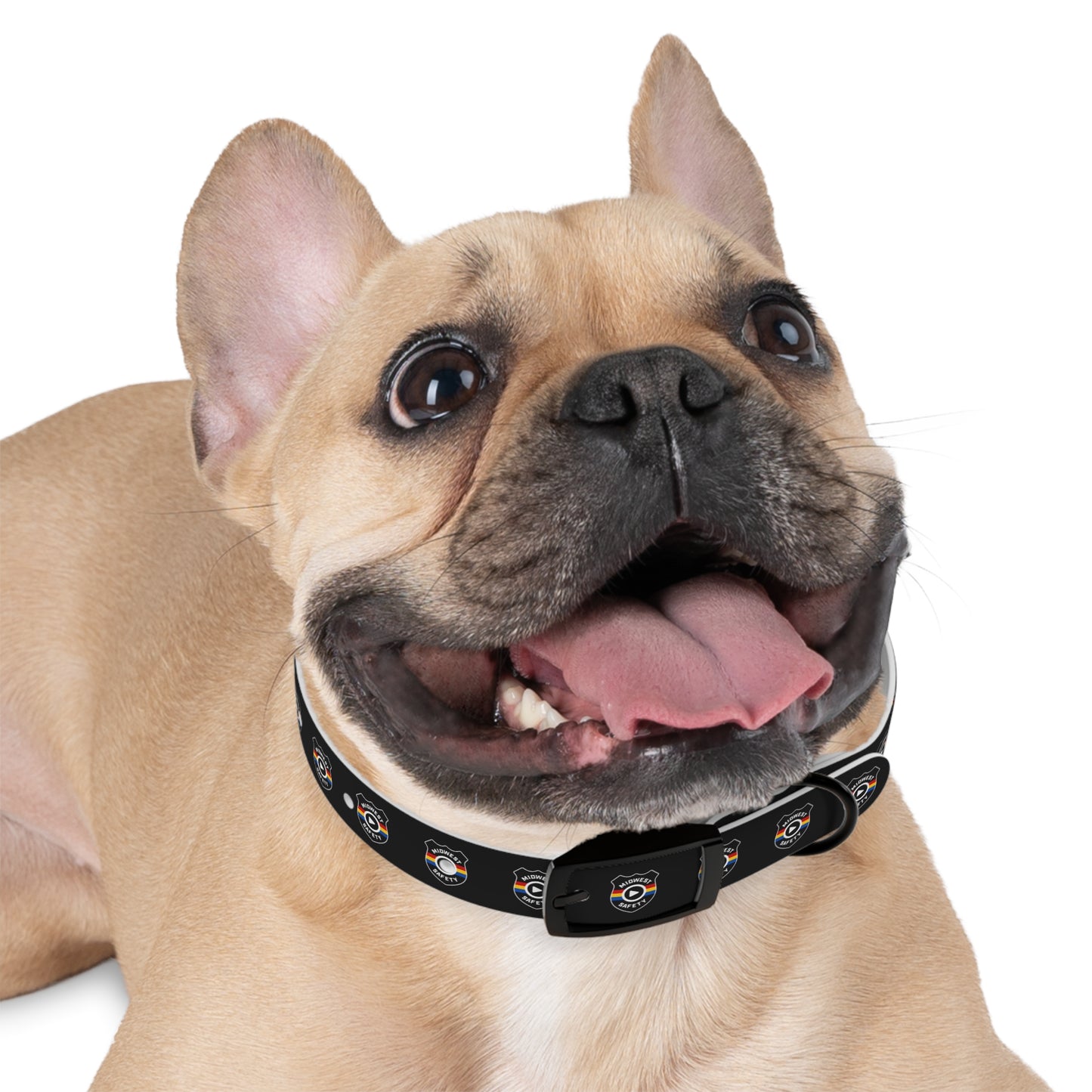 Custom Dog Collar, Unique Pet Accessory, Adjustable Collar for Dogs, Stylish Dog Gear, Perfect Dog Gift, Pet Birthday, Pet Adoption