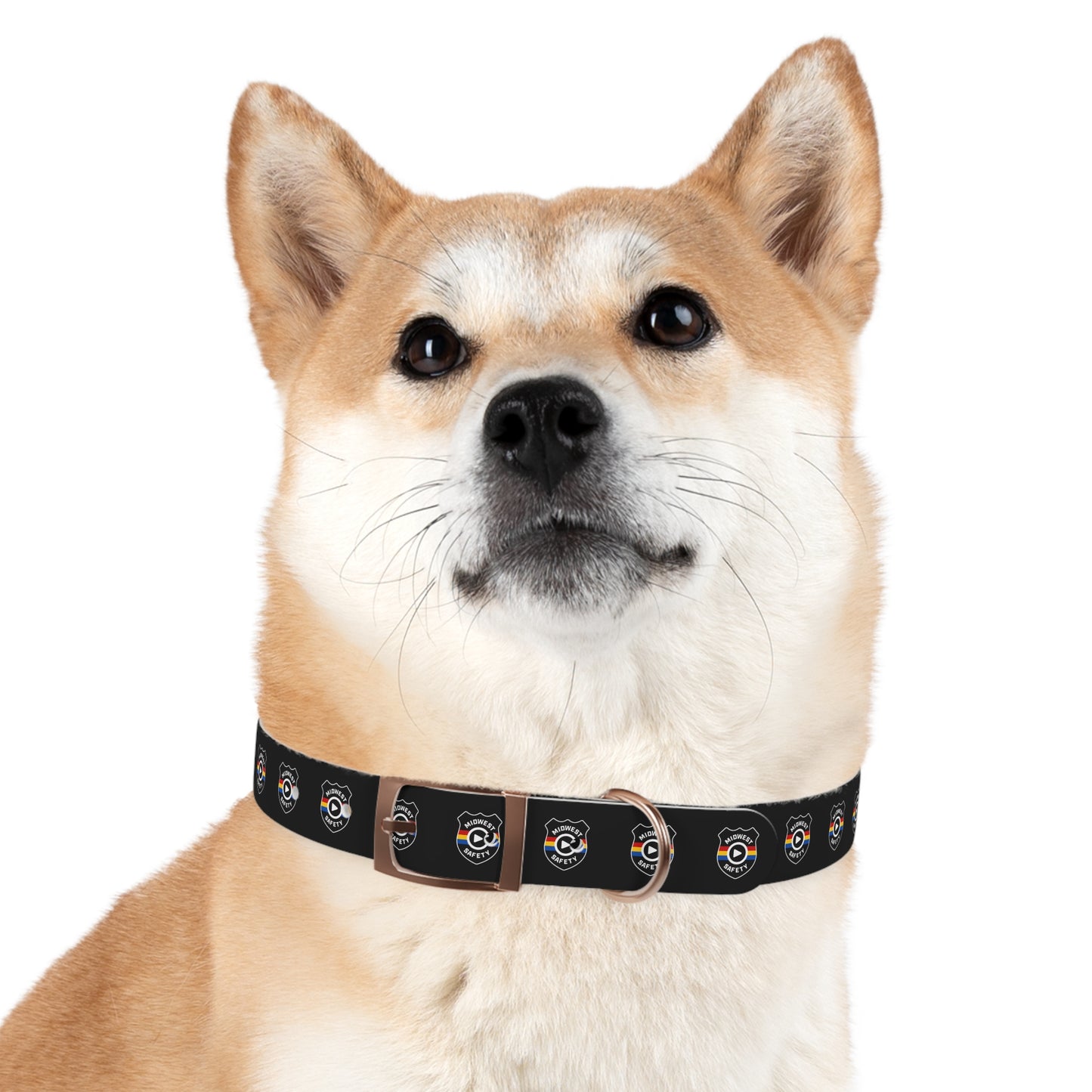 Custom Dog Collar, Unique Pet Accessory, Adjustable Collar for Dogs, Stylish Dog Gear, Perfect Dog Gift, Pet Birthday, Pet Adoption