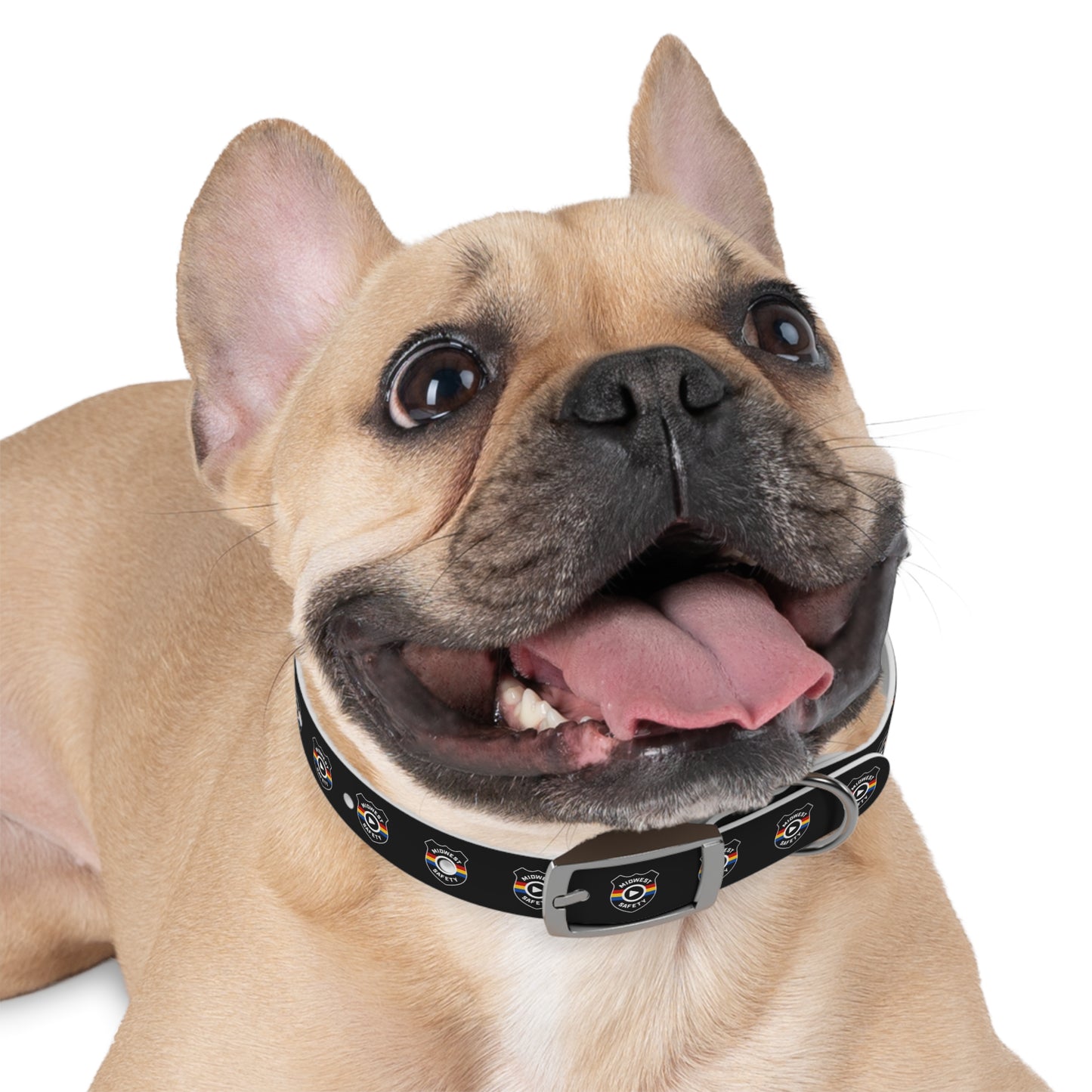 Custom Dog Collar, Unique Pet Accessory, Adjustable Collar for Dogs, Stylish Dog Gear, Perfect Dog Gift, Pet Birthday, Pet Adoption