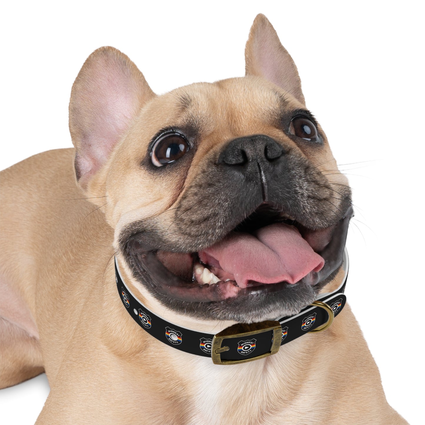 Custom Dog Collar, Unique Pet Accessory, Adjustable Collar for Dogs, Stylish Dog Gear, Perfect Dog Gift, Pet Birthday, Pet Adoption