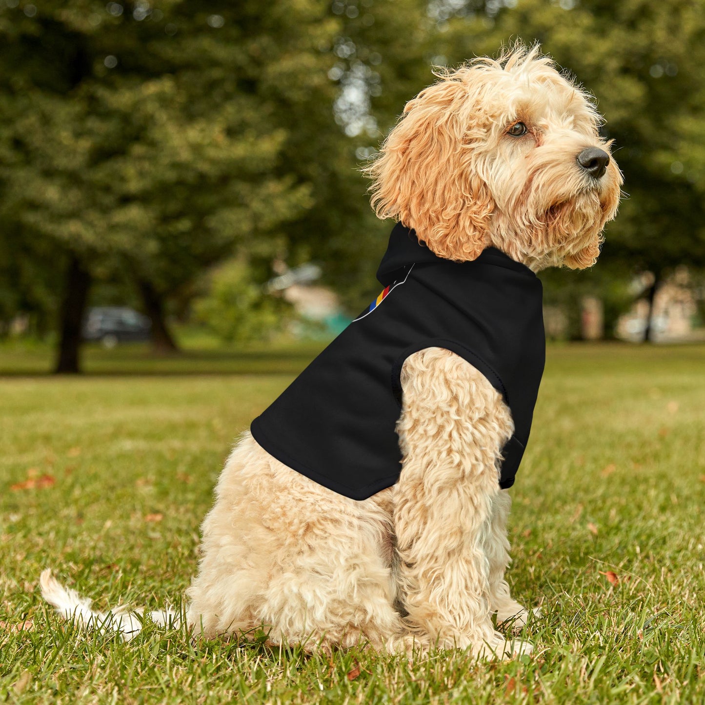 Stylish Pet Hoodie for Cozy Safety, Dog Apparel, Weather-Resistant Hoodie, Pet Winter Gear, Ideal for Walks & Outdoor Fun